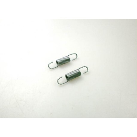Best Manifold Springs, 2pcs