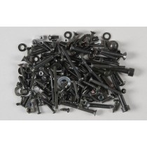 Torx screw set F1 competition